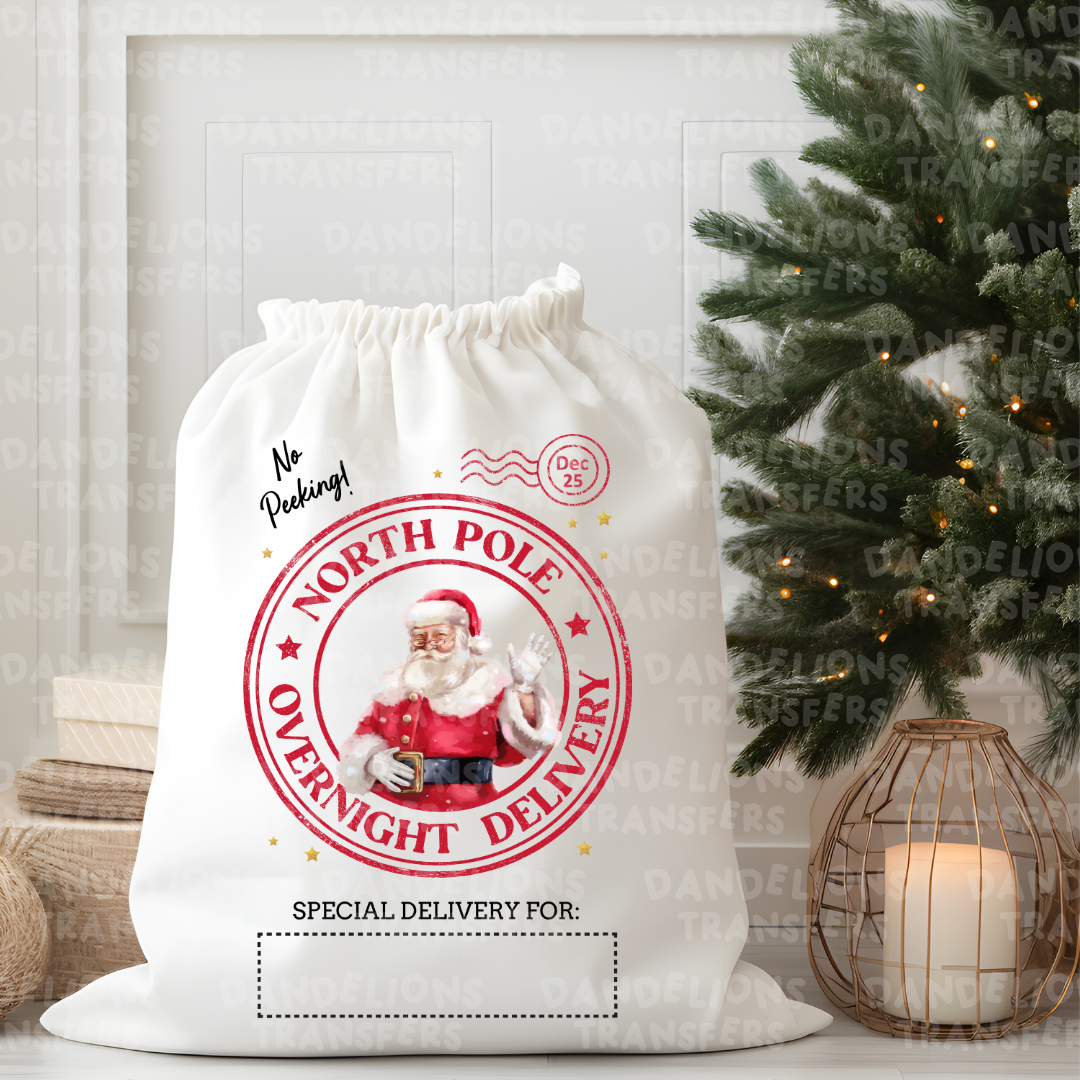 Christmas #054