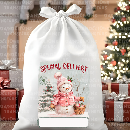 Christmas #096
