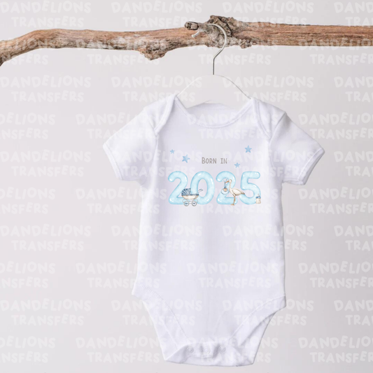 Stork born in 2025 blue